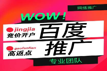 不同行业的SEM专员成功案例分析